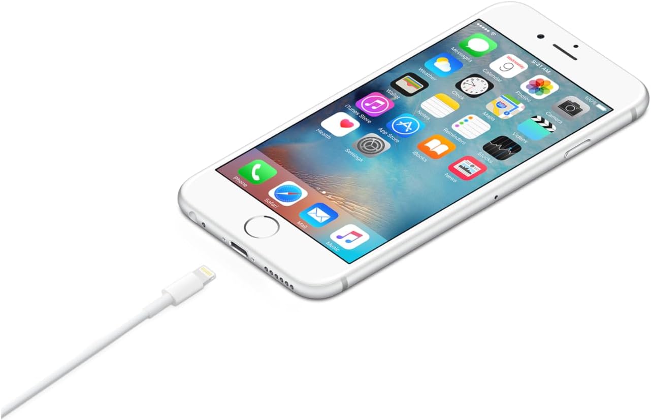 Apple Lightning to USB Cable Review